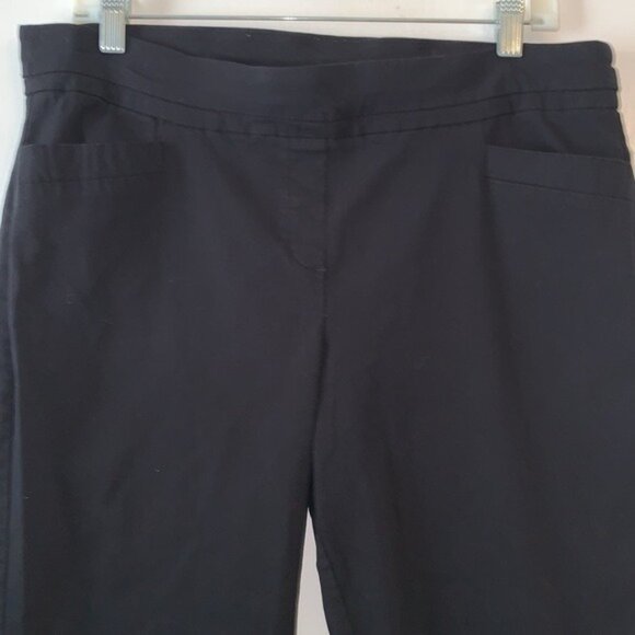 Briggs Womens Black Pull-On Pants Size 16 Stretch Comfortable Fit - Picture 3 of 12